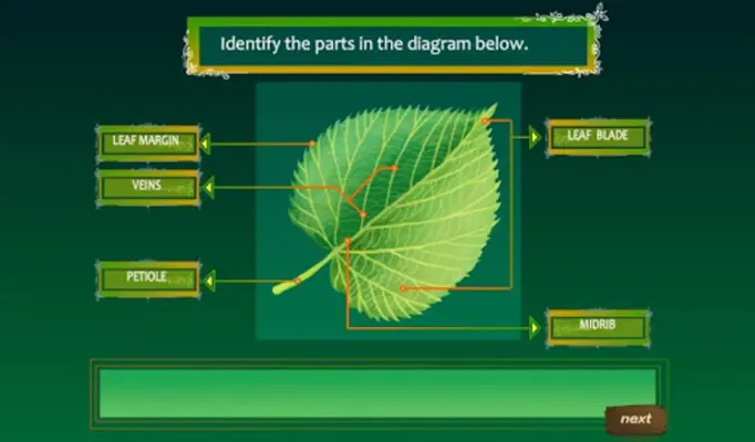 Food Production in Leaves android App screenshot 1