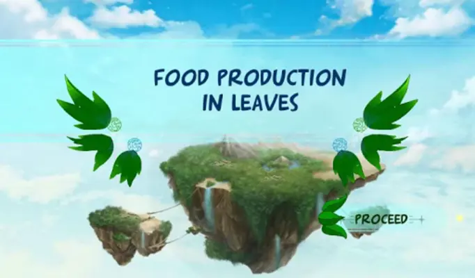 Food Production in Leaves android App screenshot 2